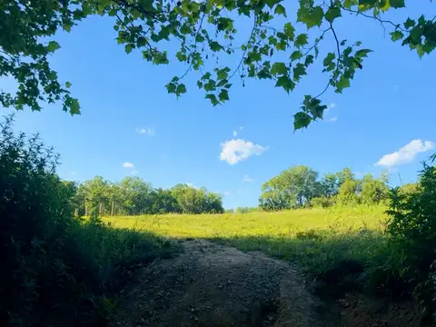 Step into serene nature: sun-drenched paths and endless blue skies.